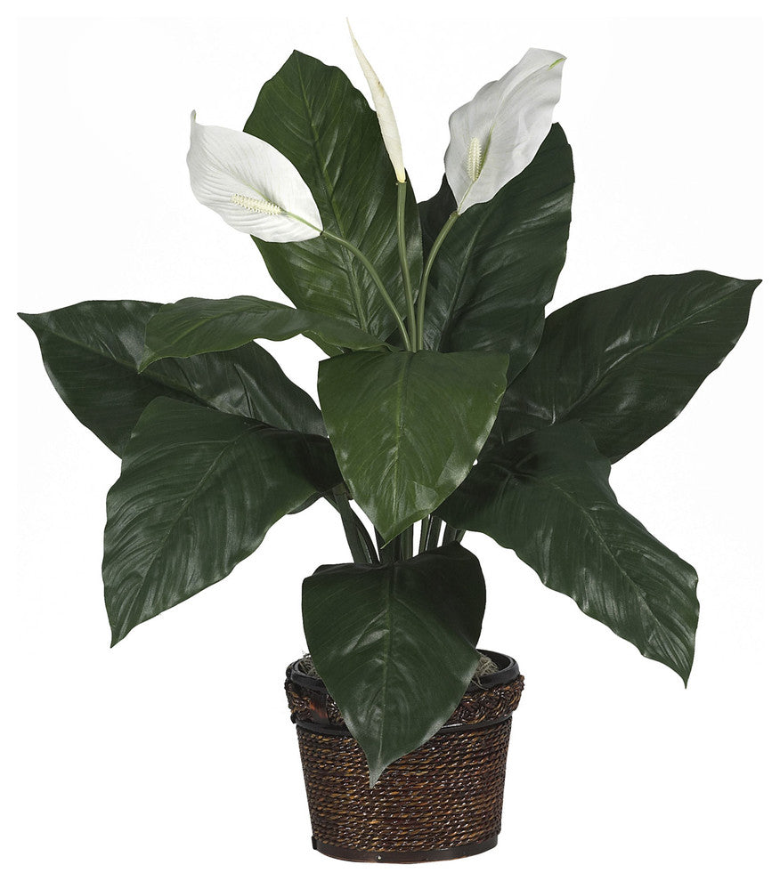 Spathyfillum With Coiled Rope Wicker Silk Plant