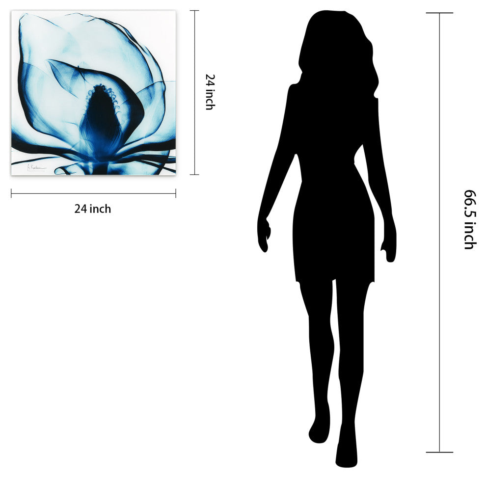 Blue Magnolia X-Ray Flower Wall Art Frameless Free Floating Tempered Glass Panel