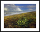 Apollo Beach At Canaveral National Seashore, Florida, 38"x30"