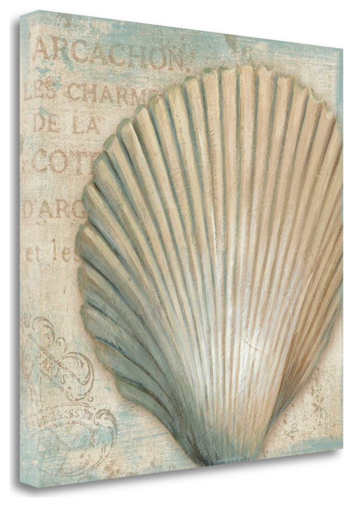 Rustic French Seashell 4 Giclee Wrap Canvas Wall Art