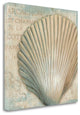 Rustic French Seashell 4 Giclee Wrap Canvas Wall Art