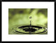 Ripples Radiating Out From Drop Of Water Splashing Into Calm Pool, 24"x18"