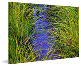 "Grass over the Brook" Print on Canvas by Chris Vest