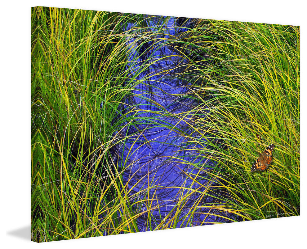 "Grass over the Brook" Print on Canvas by Chris Vest