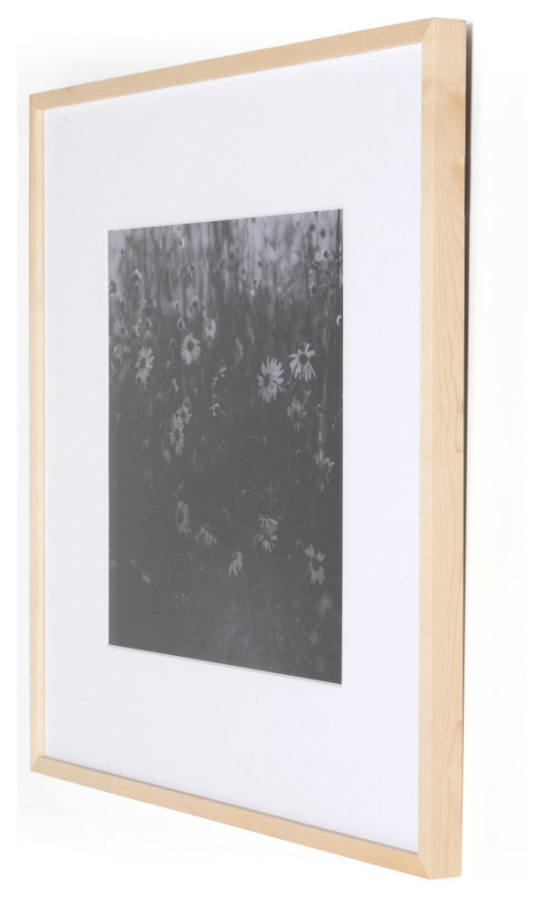 Floral Film Ii By Annie Spratt
