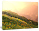Flowering Mountain Meadow View, Oversized Landscape Canvas Art, 60"x28"
