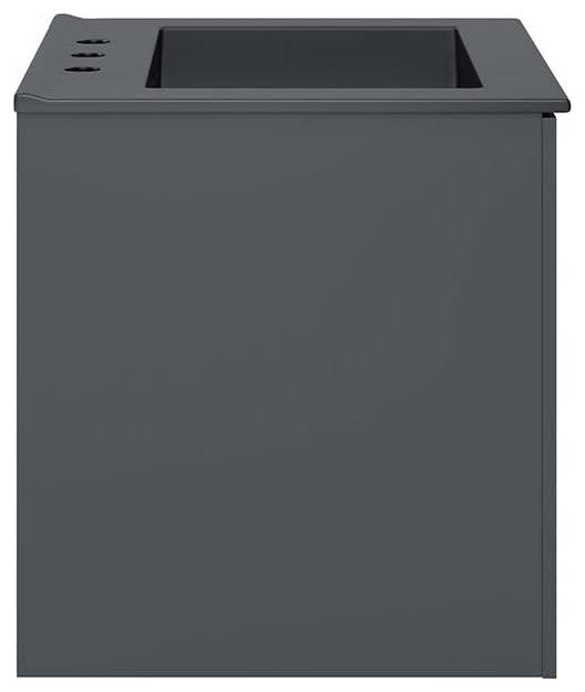 Vitality 24" Bathroom Vanity, Gray Black