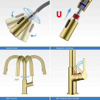 Fusion Single Handle Pull Down Kitchen & Bar Sink Faucet, Brushed Gold