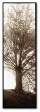Alan Blaustein ''Hampton Gates Tree No. 1'' Canvas Art, 8x24