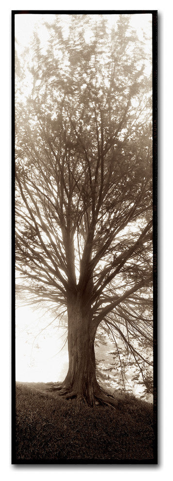 Alan Blaustein ''Hampton Gates Tree No. 1'' Canvas Art, 8x24