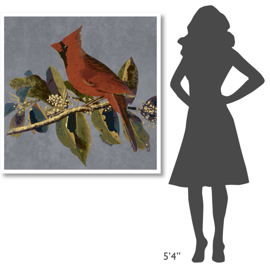 "Audubon Decor - Male Cardinal Grosbeak Detail" Print by BG.Studio, 42"x42"