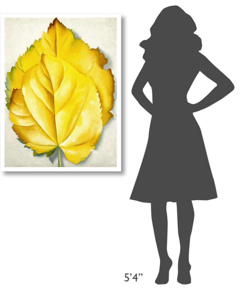 "2 Yellow Leaves (Yellow Leaves), 1928" Print by Georgia O'Keeffe, 29"x38"