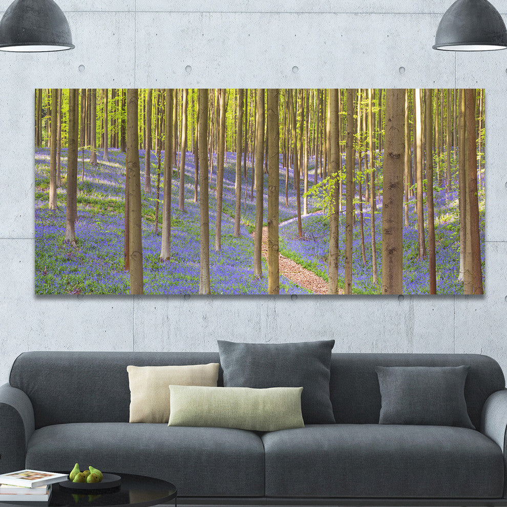Blooming Bluebell Forest Panorama, Landscape Canvas Art Print, 60"x28"