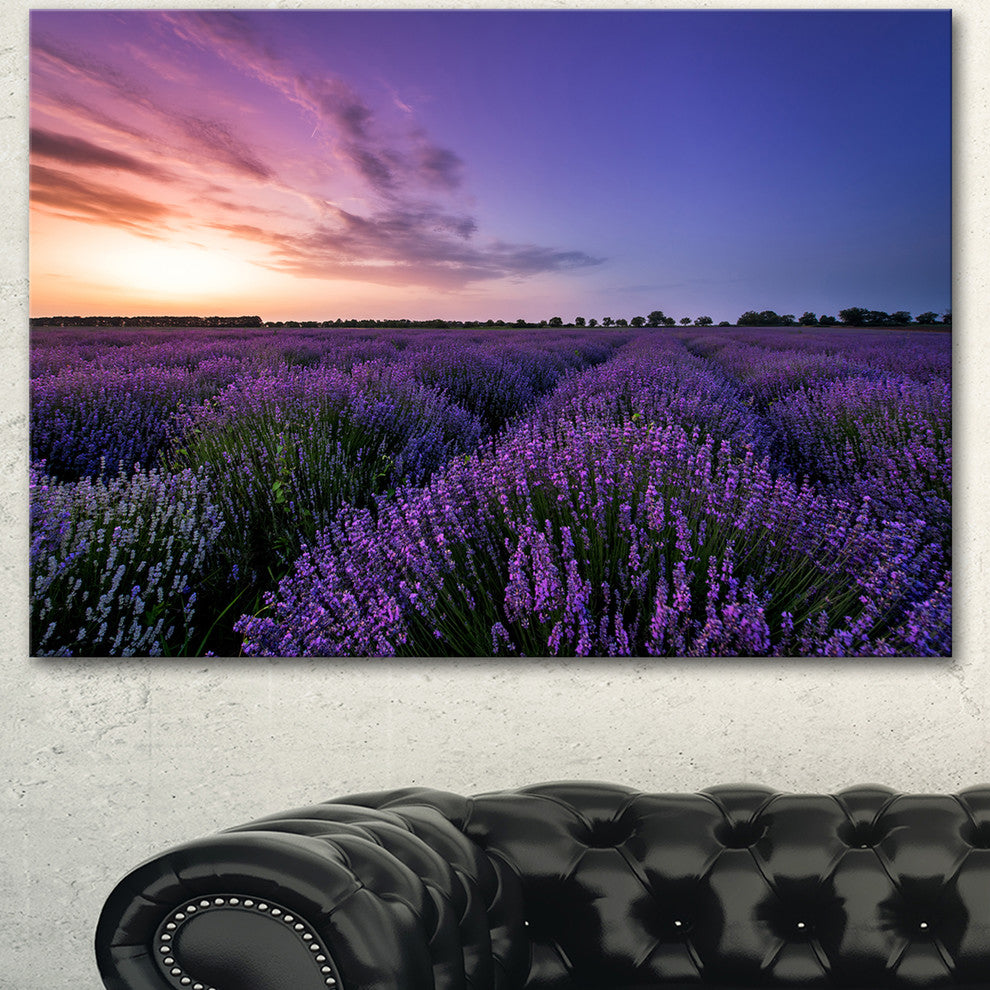 Beautiful Lavender Flowers At Sunset, Floral Canvas Art Print, 40"x30"
