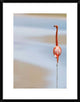 "I" Framed Digital Print by Anna Cseresnjes, 23"x30"