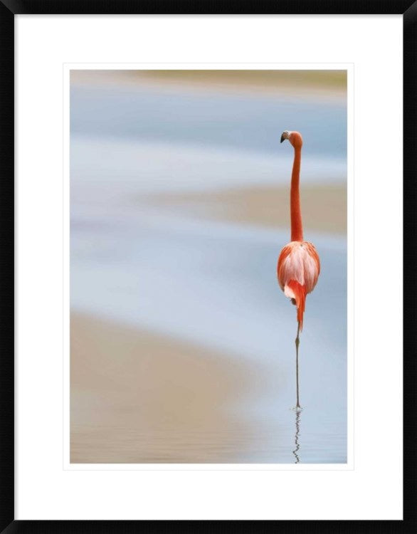 "I" Framed Digital Print by Anna Cseresnjes, 23"x30"