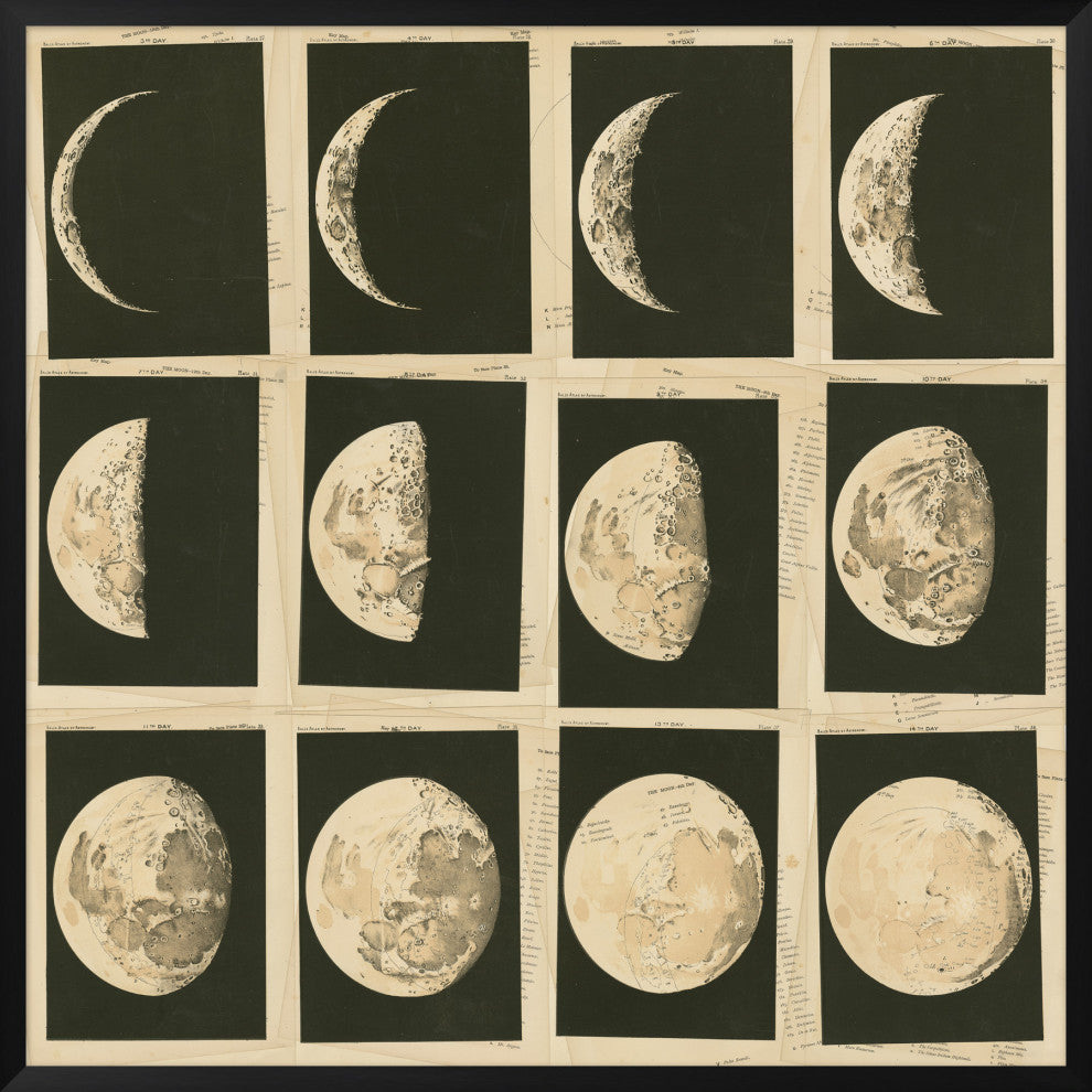 Phases Of The Moon, Giclee Reproduction Artwork