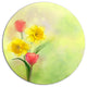 Tulips And Daffodils In Soft Color And Blur, Flower Disc Artwork, 38"