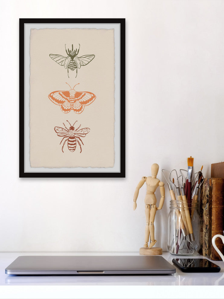 "Assorted Moths" Framed Painting Print, 8x12