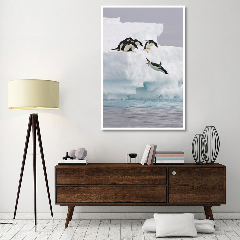 "Adelie Penguin diving off iceberg, Paulet Island" Paper Art, 42"x62"