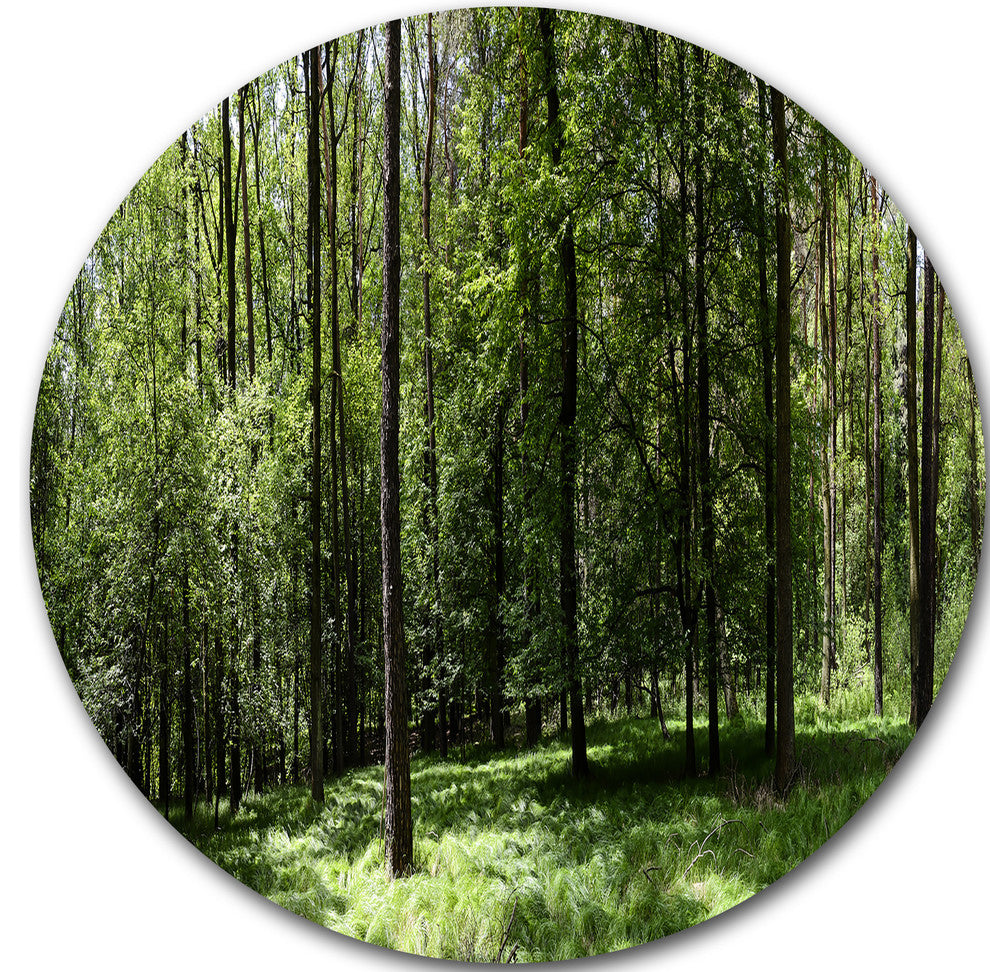 Wild Green Forest Panorama, Forest Round Metal Wall Art, 11"