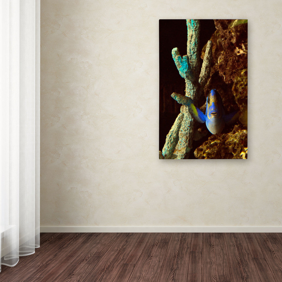 'Fish in the Rocks' Canvas Art by Kurt Shaffer