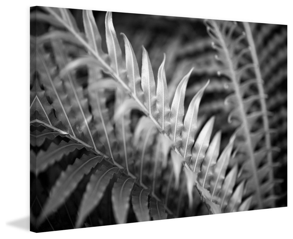 Marmont Hill, "Smooth Transition" by Morgan Hartley on Wrapped Canvas, 30x20