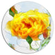 Yellow Rose With Rose Buds Sketch, Floral Round Wall Art, 23"
