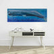 Sperm Whale Print on Wrapped Canvas