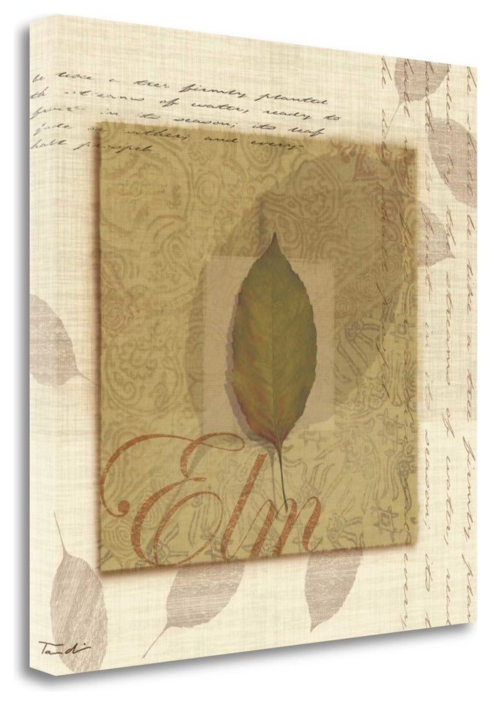 "Elm" By Tandi Venter, Giclee Print on Gallery Wrap Canvas, Ready to Hang