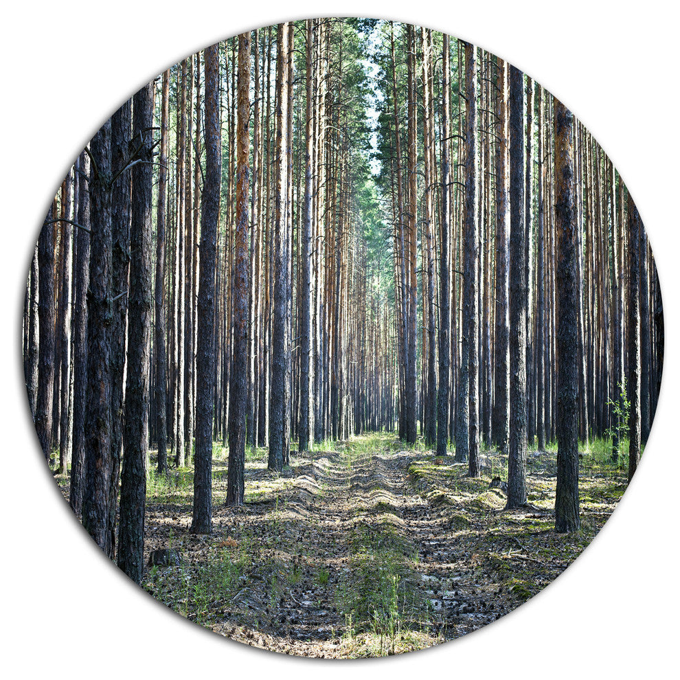 Forest Road In Thick Woods, Modern Forest Round Wall Art, 11"