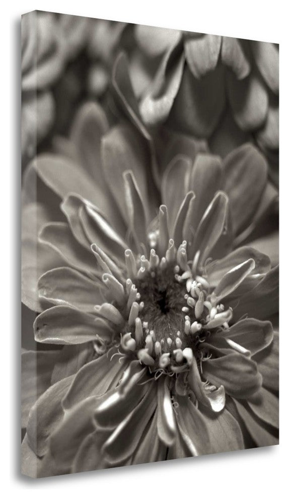"Florison - 17" By Alan Blaustein, Giclee Print on Gallery Wrap Canvas
