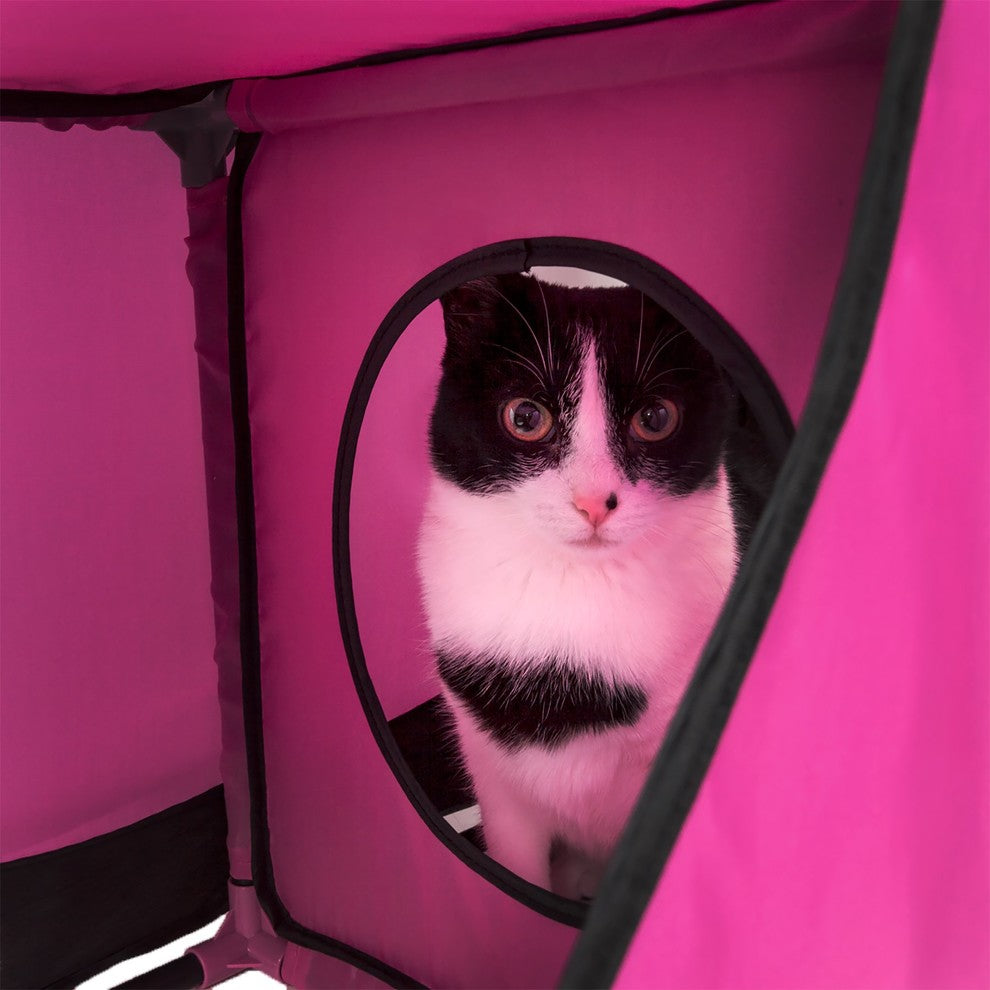 Kitty-Play Obstacle Collapsible Soft Folding Pet Cat House, Pink/Black