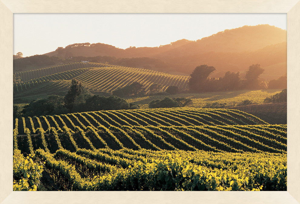 Wine Country Haze 2, Giclee Reproduction Artwork