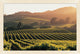 Wine Country Haze 2, Giclee Reproduction Artwork