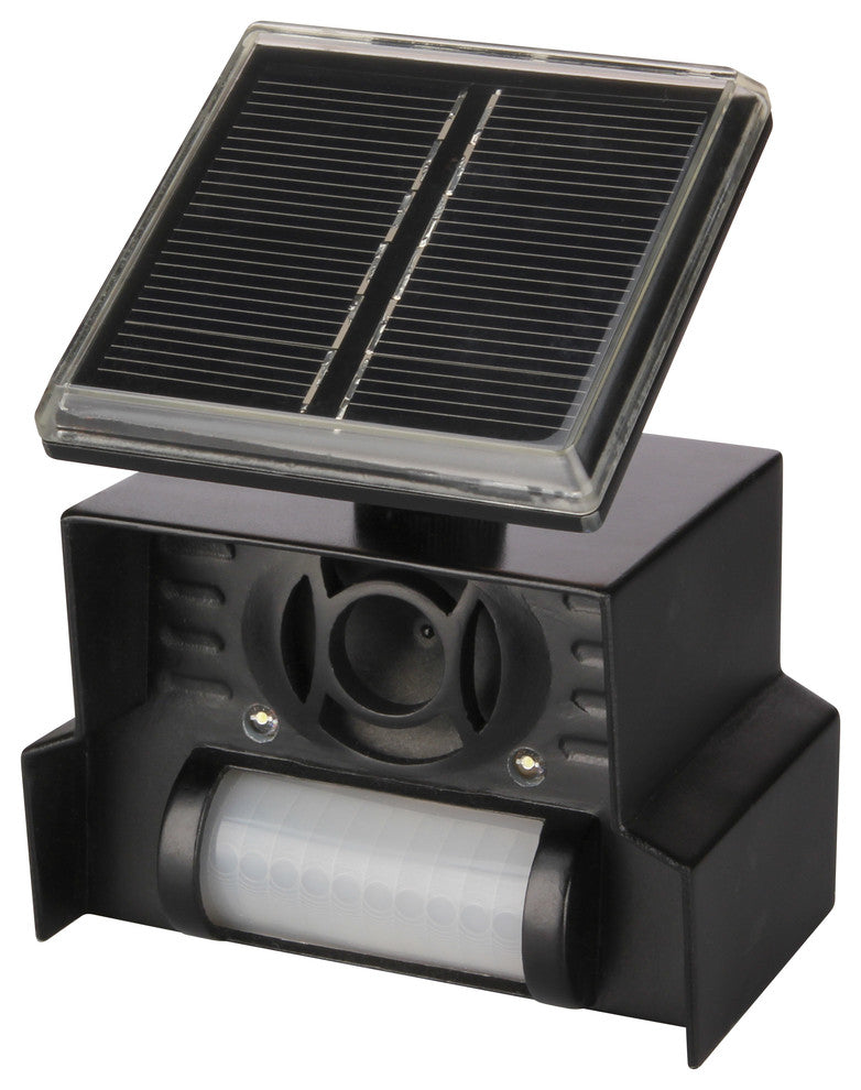 Sol-Mateï¿½ Animal Chaser