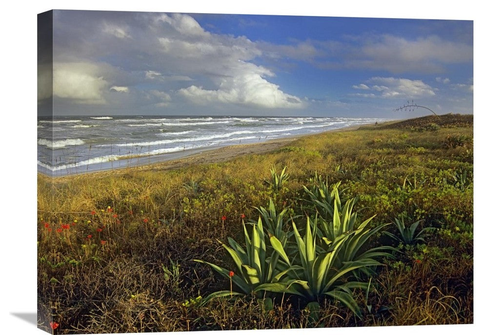 "Apollo Beach At Canaveral National Seashore, Florida" Artwork, 24" x 18"