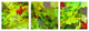 Abstract 3-Piece Canvas Wall Art Set