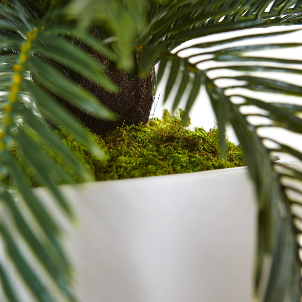 Cycas Artificial Plant, White Planter