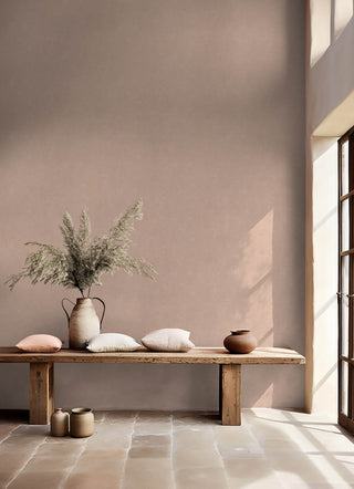 Mr. Kate Daphne Potter's Clay Peach Limewash Peel and Stick Wallpaper