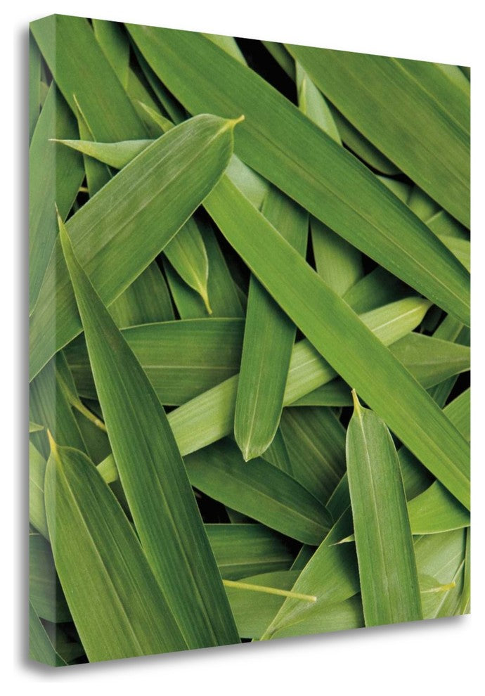"Scattered Leaves" By Jeff, Giclee Print on Gallery Wrap Canvas, Ready to Hang