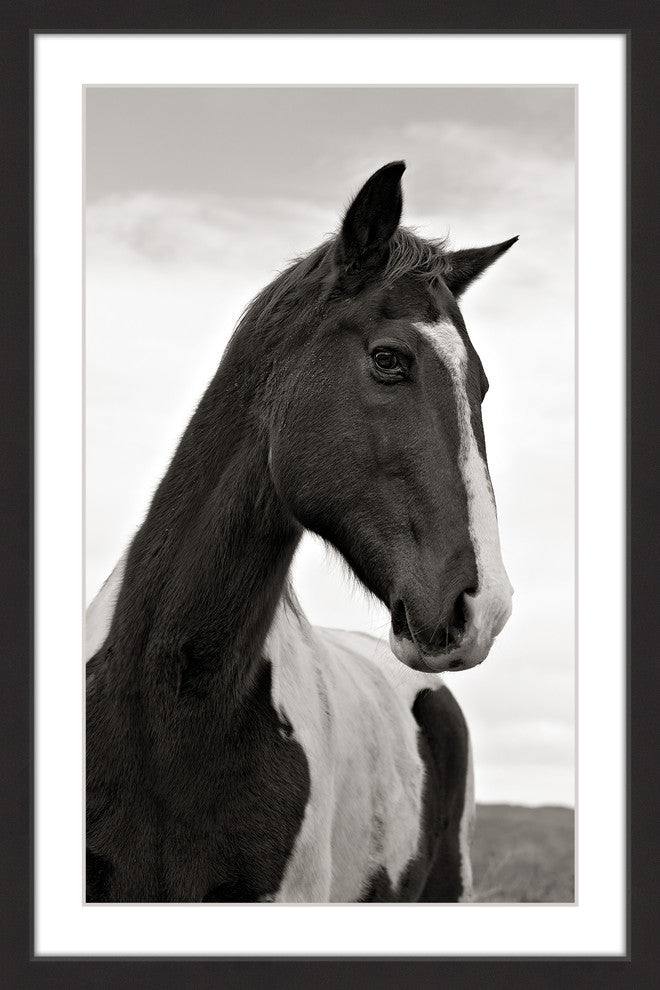 "Ranch Horse Wisdom" Framed Painting Print, 16x24