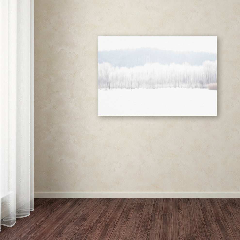 'Abstract Winter Beaver Marsh' Canvas Art by Kurt Shaffer