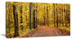 Bright Autumn Forest Panorama, Modern Forest Canvas Art, 32"x16"