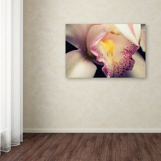PIPA Fine Art 'Close-Up of Orchid' Canvas Art, 47x30