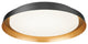 Matteo Lighting M15602BK Flush Mount Light, Black Finish