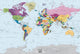 World Map Wall Decal, Colorful, 53"x36"