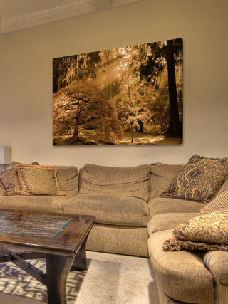 "Bathed in Morning Light" Painting Print on Canvas