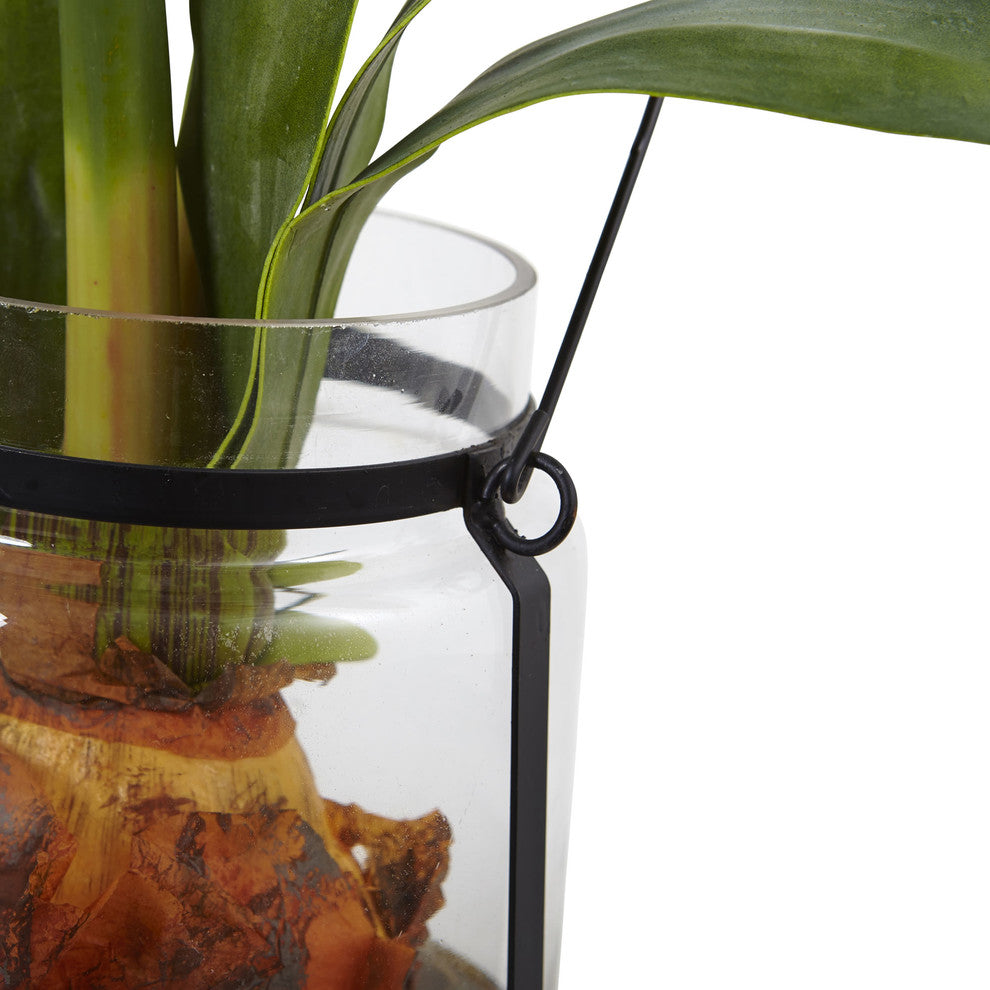 24" Amaryllis With Vase