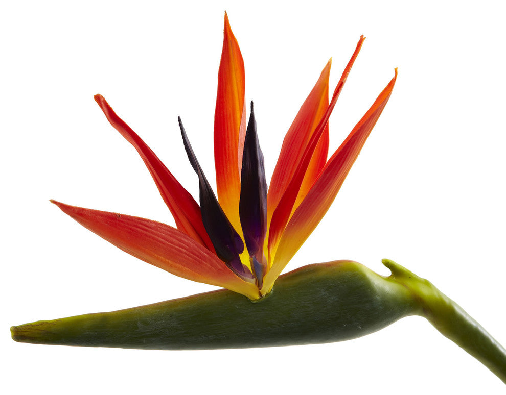 38" Large Bird of Paradise Artificial Flower, Set of 4
